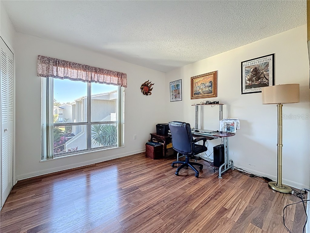 510 Windrush Bay Drive Tarpon Springs FL 34689 TB8442583 image23