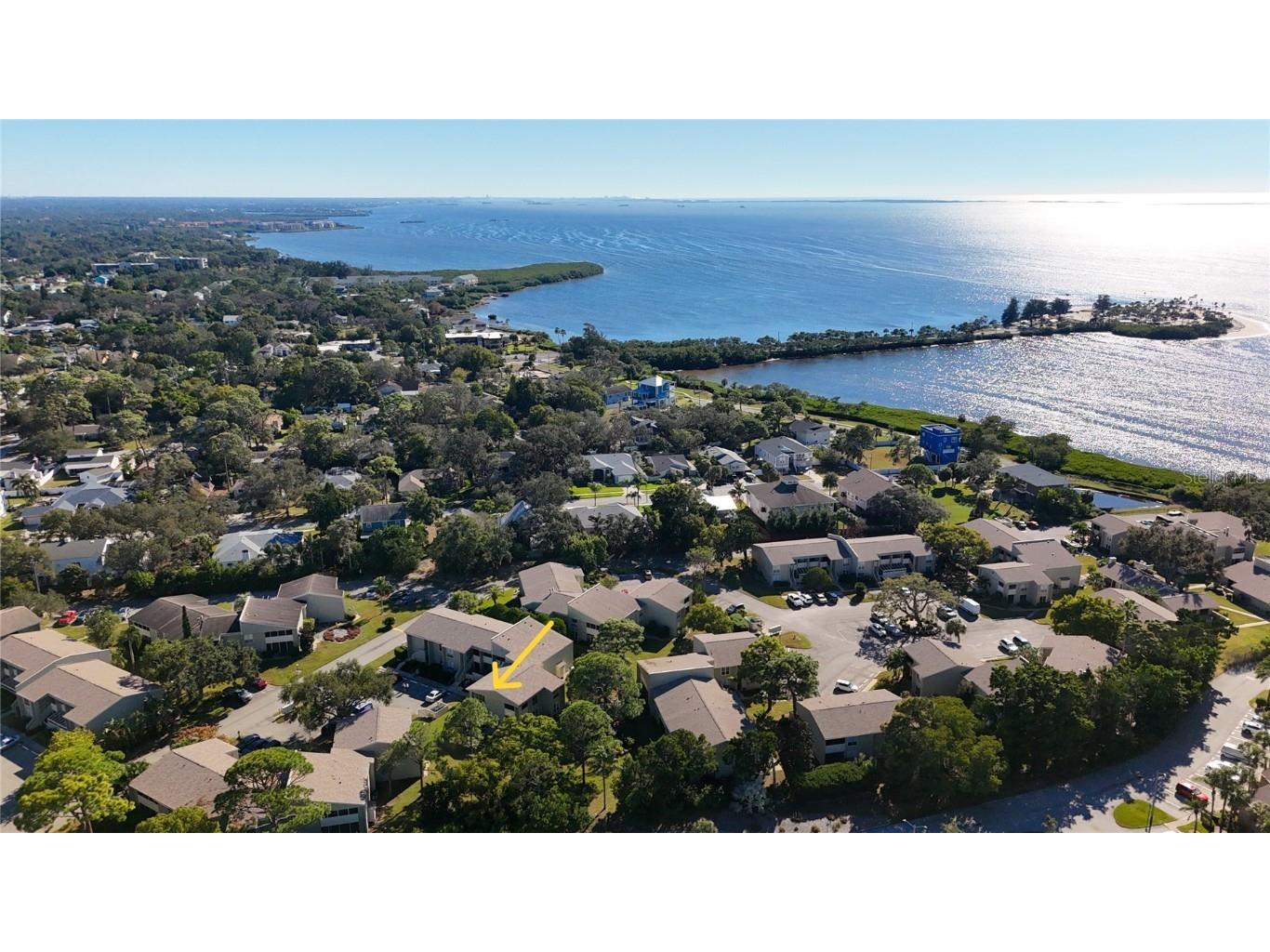 510 Windrush Bay Drive Tarpon Springs FL 34689 TB8442583 image34