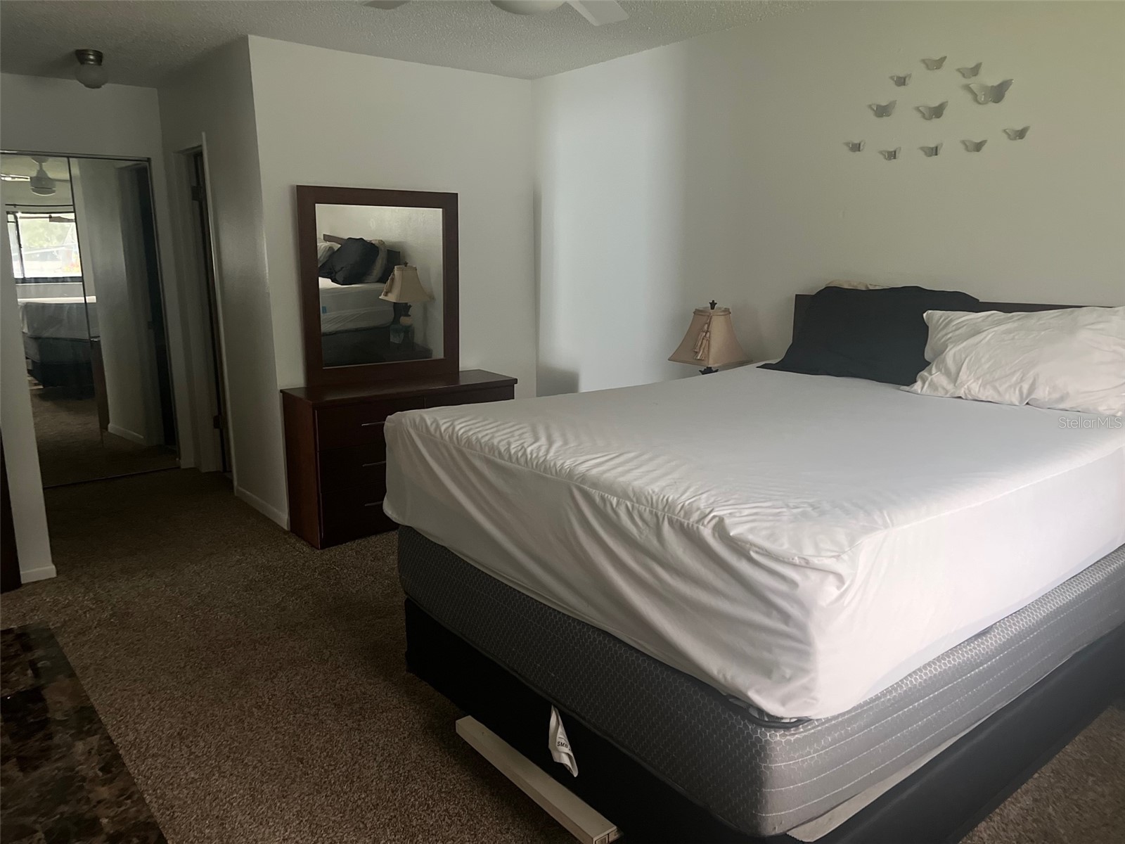 5100 70th Place N #5100 Pinellas Park FL 33781 TB8524072 image15