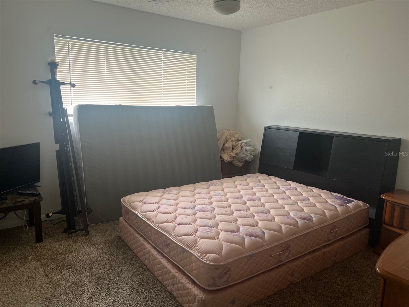 5100 70th Place N #5100 Pinellas Park FL 33781 TB8524072 image16