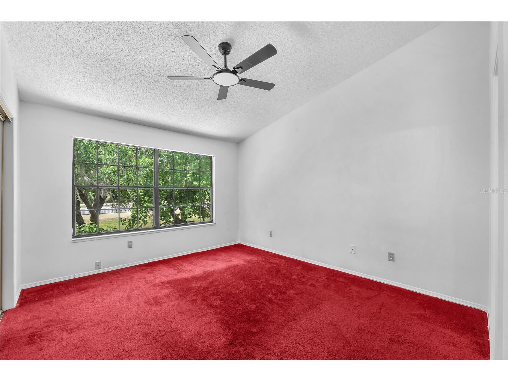 5100 Burchette Road #1004 Tampa FL 33647 TB8505778 image21