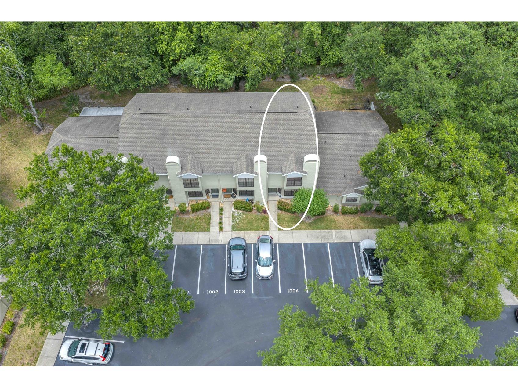 5100 Burchette Road #1004 Tampa FL 33647 TB8505778 image27