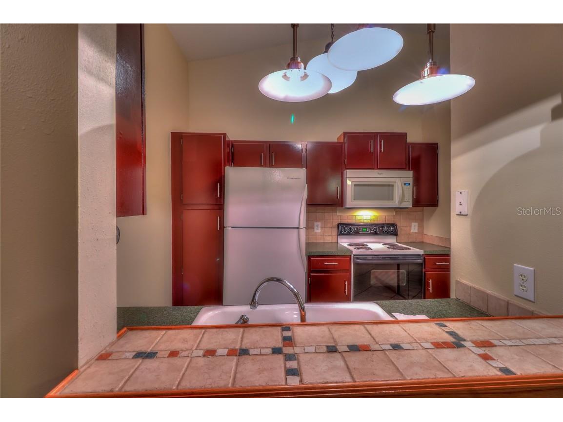 5100 Burchette Road #1607 Tampa FL 33647 TB8437824 image19