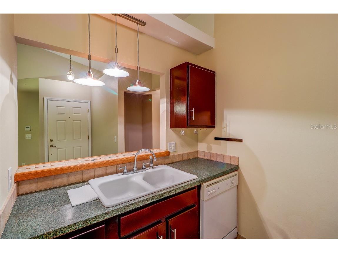5100 Burchette Road #1607 Tampa FL 33647 TB8437824 image20