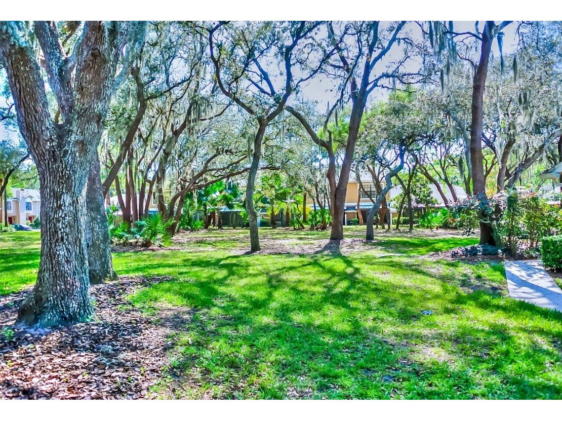 5100 Burchette Road #1607 Tampa FL 33647 TB8437824 image3