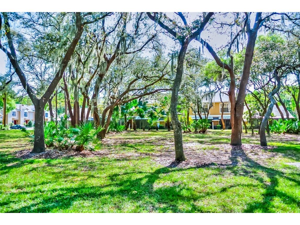 5100 Burchette Road #1607 Tampa FL 33647 TB8437824 image5