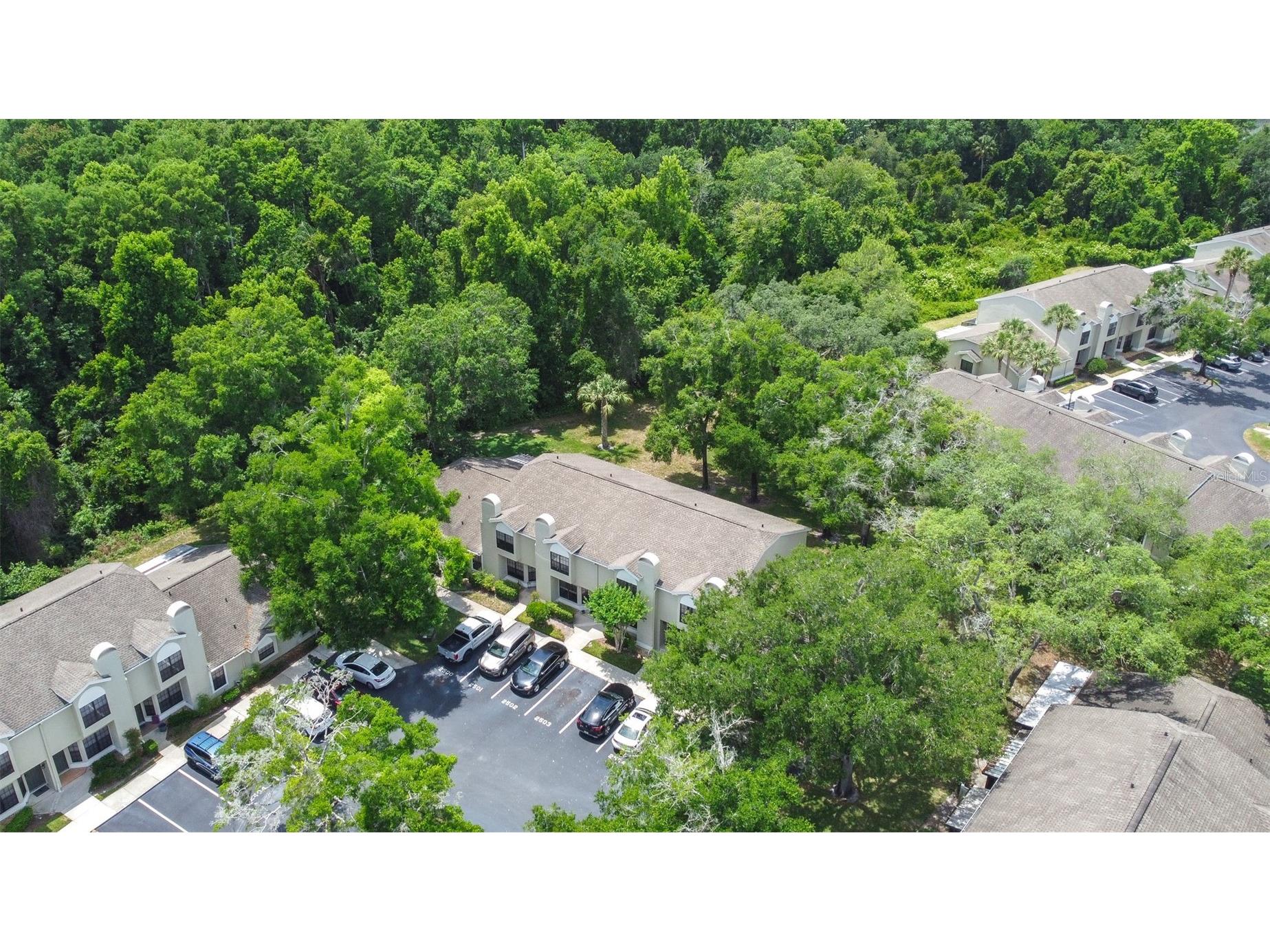 5100 Burchette Road #2505 Tampa FL 33647 TB8505325 image4