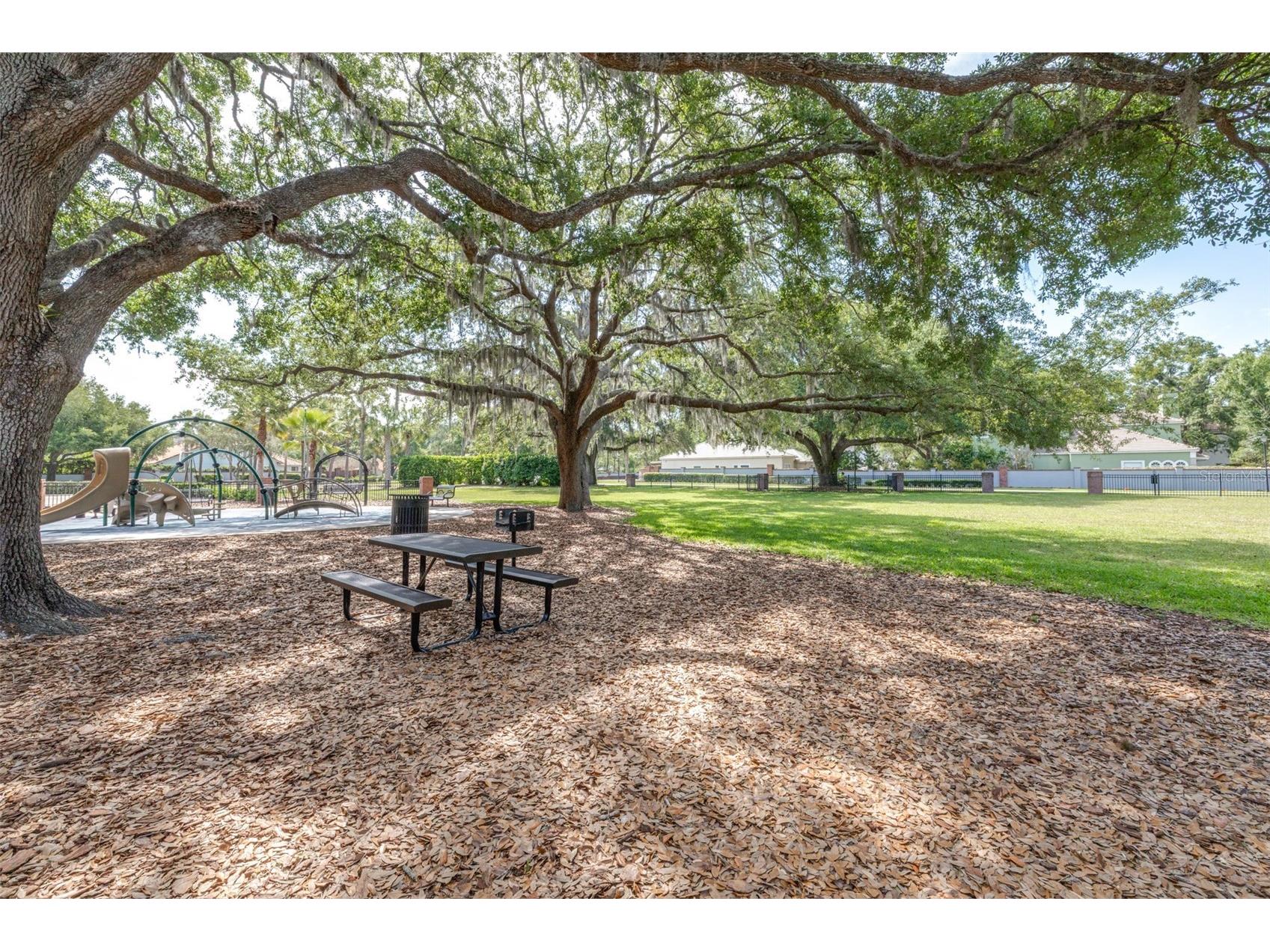 5100 Burchette Road #2505 Tampa FL 33647 TB8505325 image46