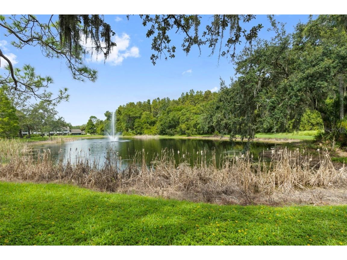 5100 Burchette Road #2701 Tampa FL 33647 TB8424677 image37