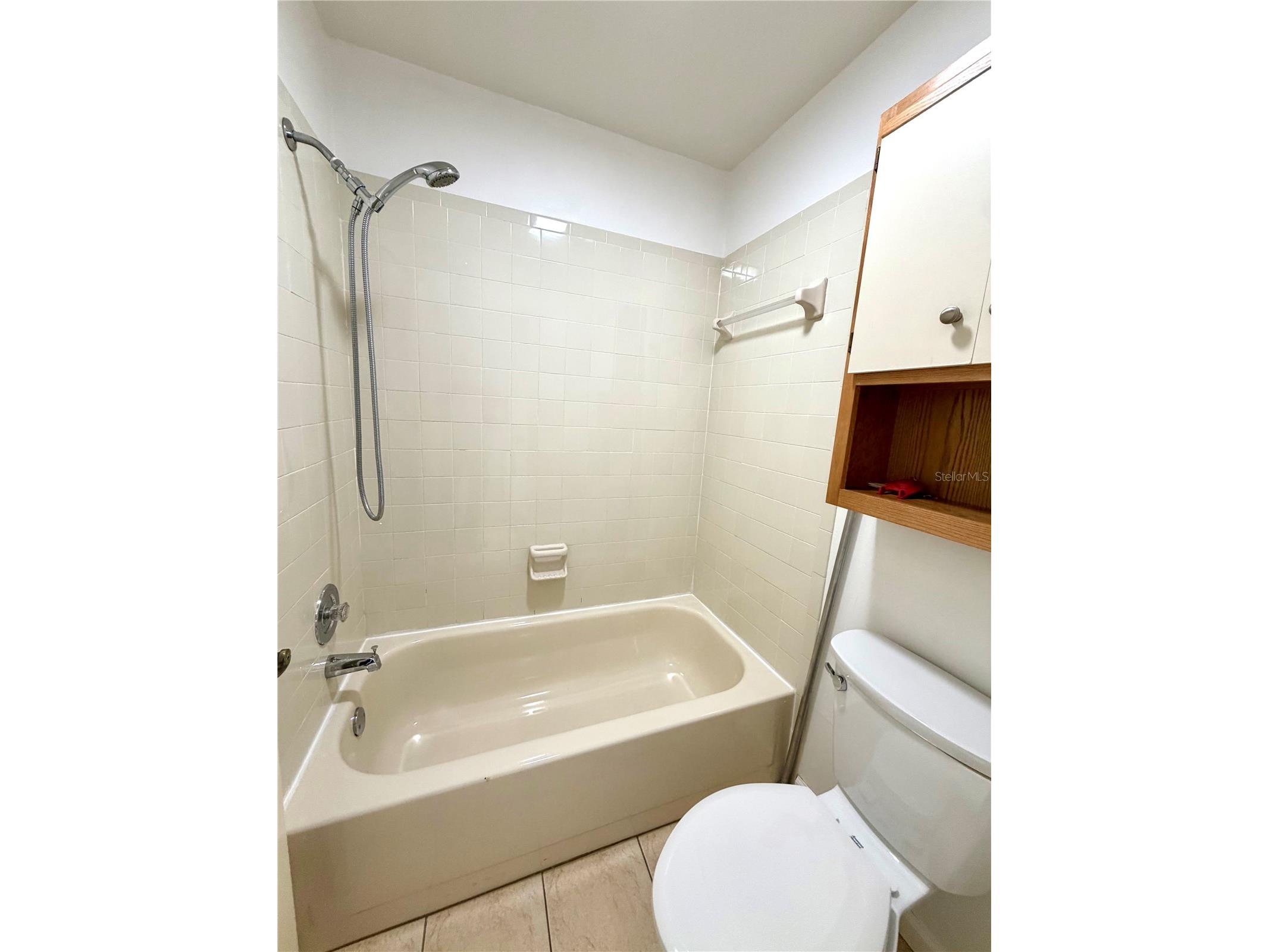 5100 Burchette Road #3102 Tampa FL 33647 TB8498988 image10