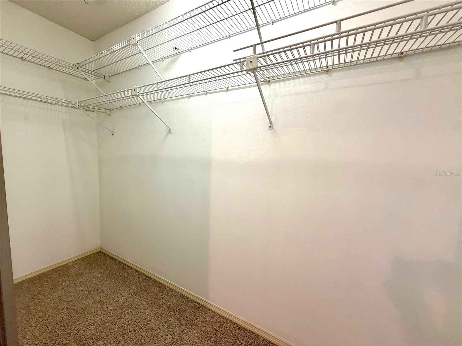 5100 Burchette Road #3102 Tampa FL 33647 TB8498988 image15