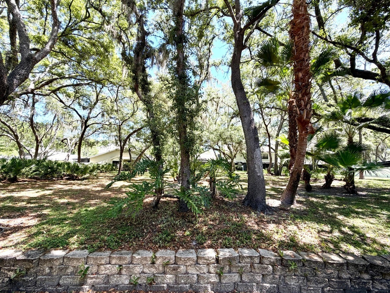 5100 Burchette Road #3102 Tampa FL 33647 TB8498988 image18