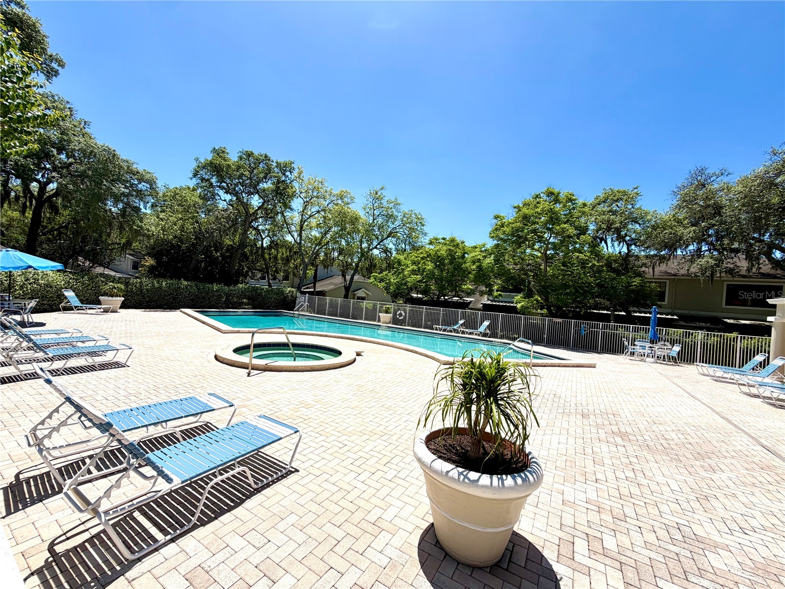 5100 Burchette Road #3102 Tampa FL 33647 TB8498988 image19
