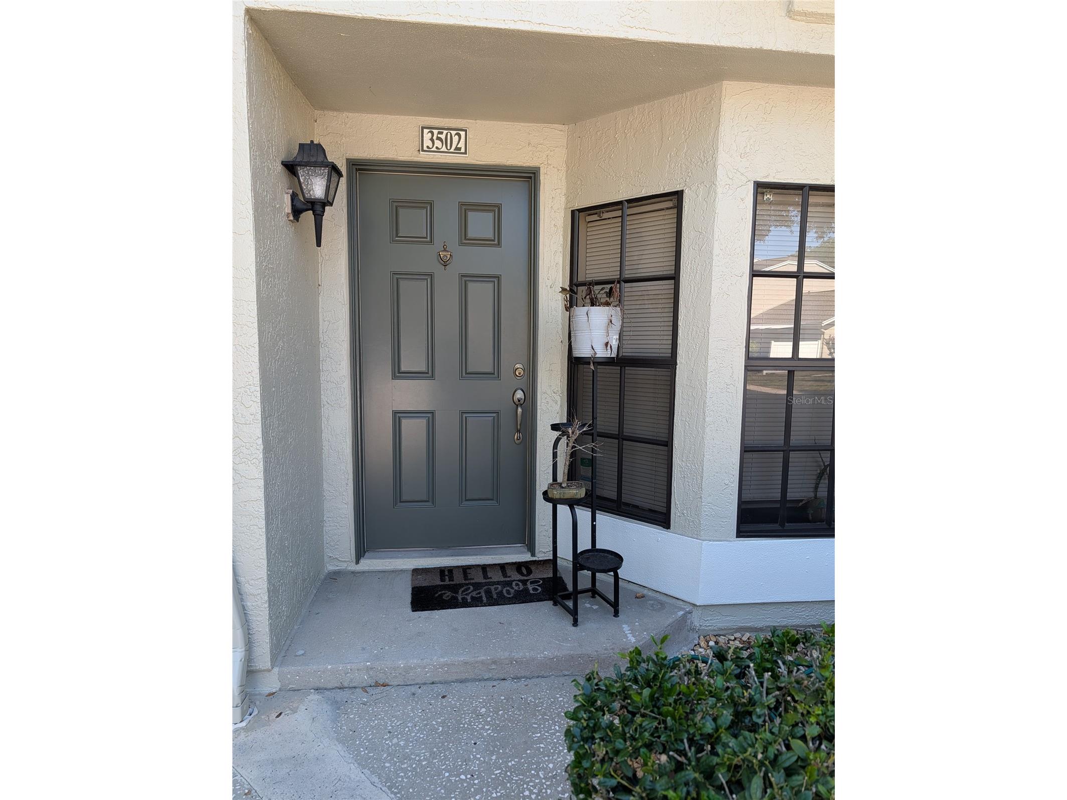5100 Burchette Road #3502 Tampa FL 33647 TB8512405 image1