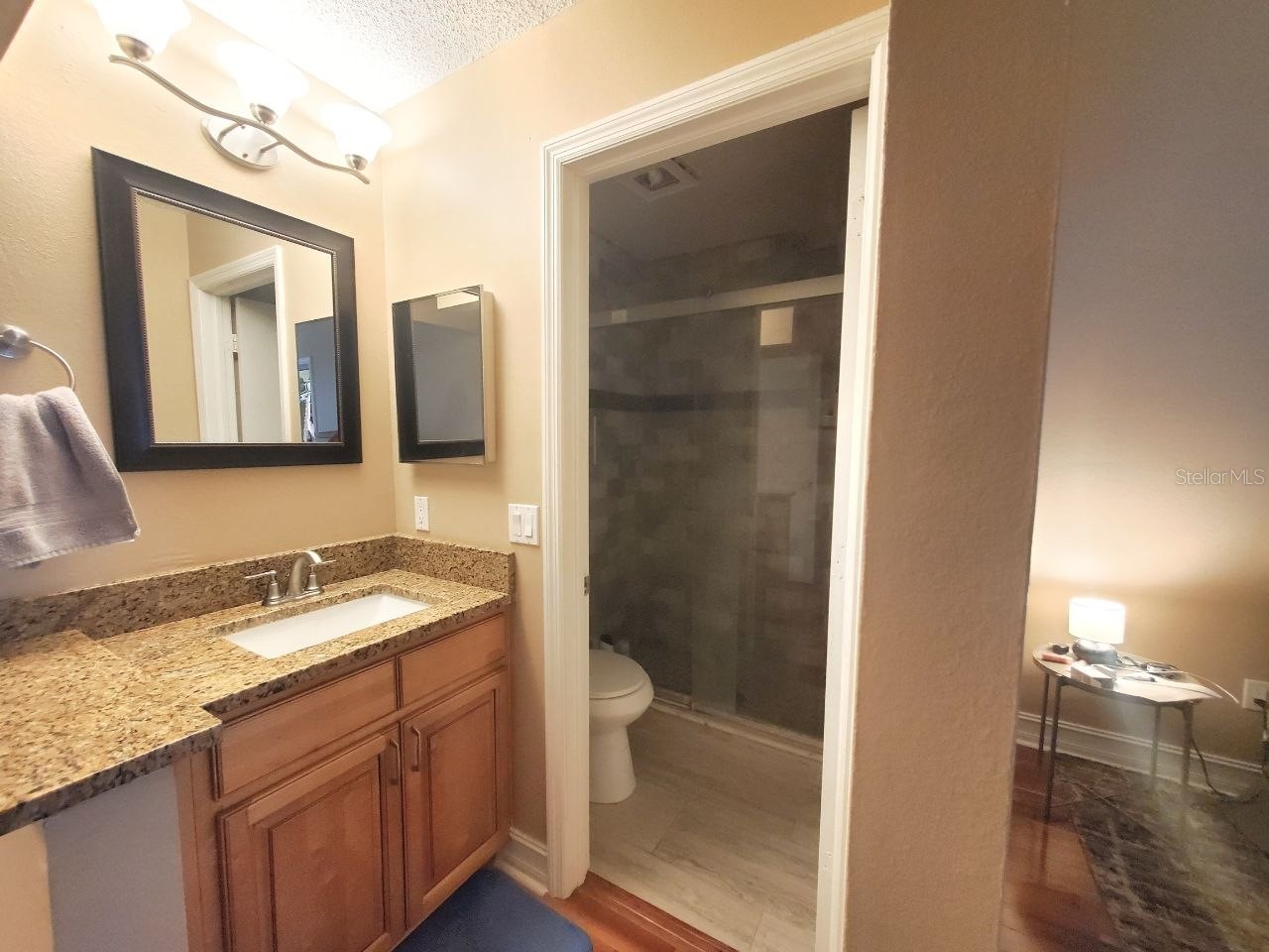 5100 Burchette Road #3502 Tampa FL 33647 TB8512405 image16
