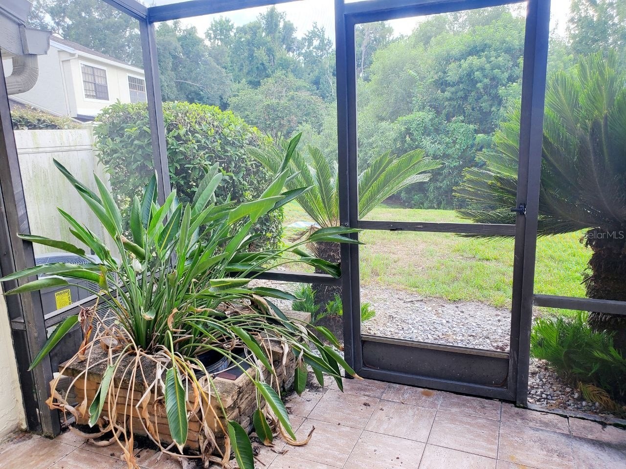 5100 Burchette Road #3502 Tampa FL 33647 TB8512405 image17
