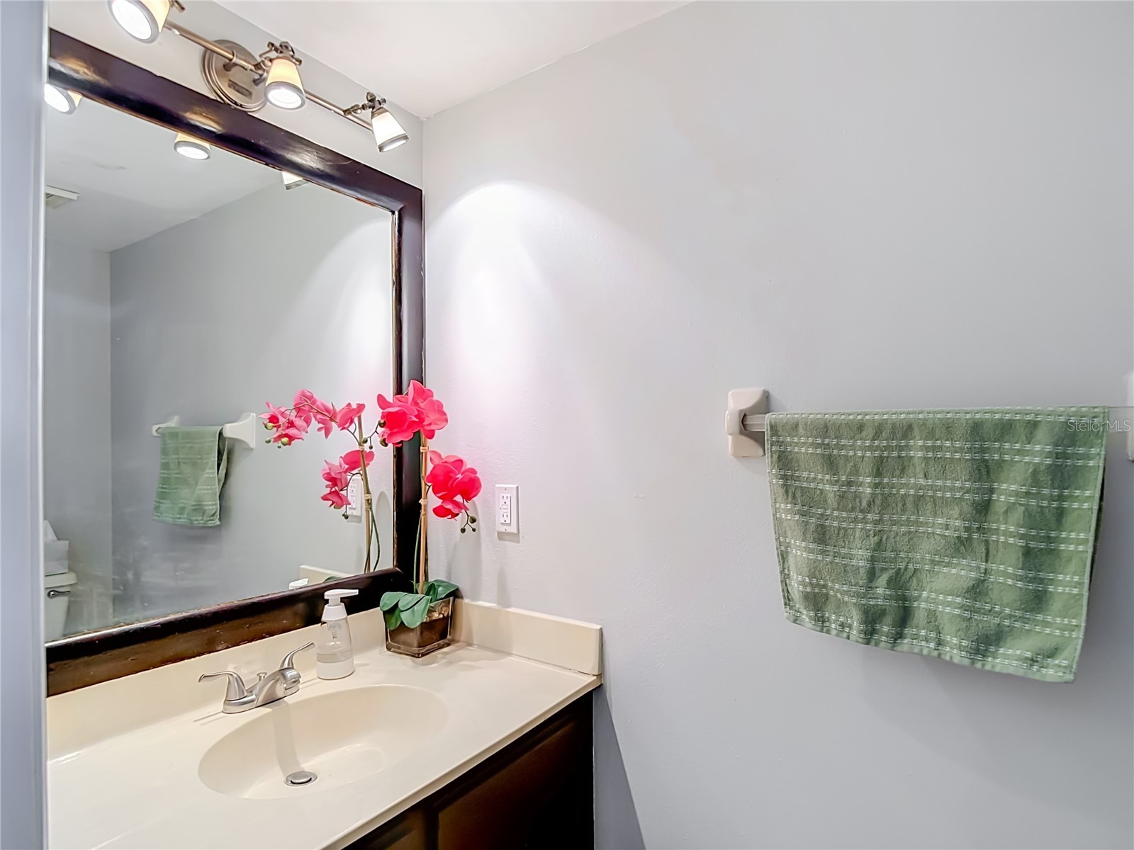 5100 Burchette Road #3802 Tampa FL 33647 TB8524087 image19