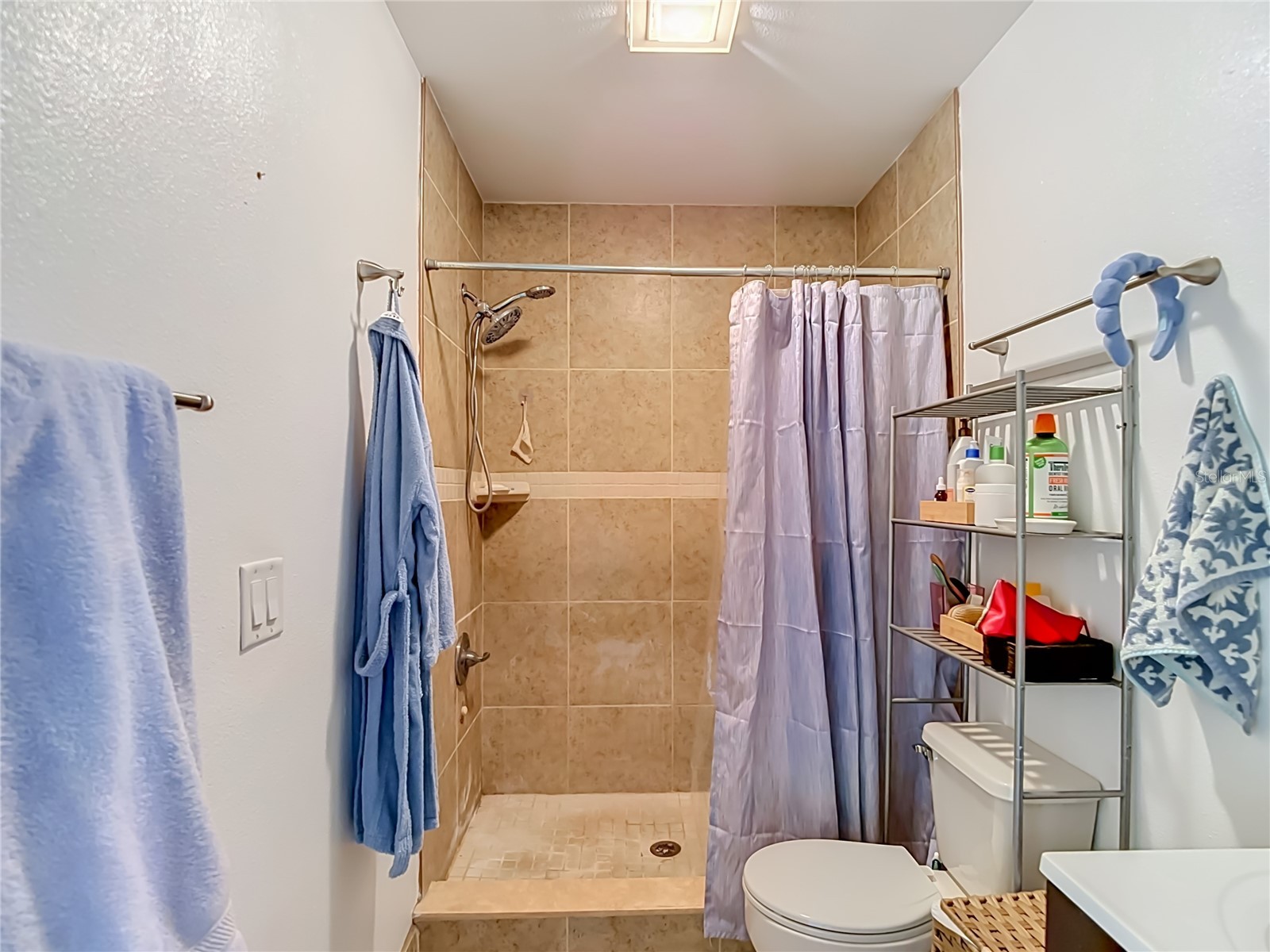 5100 Burchette Road #3802 Tampa FL 33647 TB8524087 image27