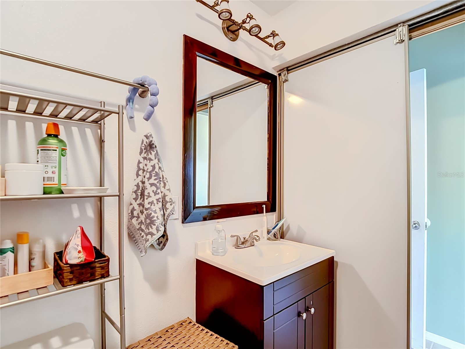 5100 Burchette Road #3802 Tampa FL 33647 TB8524087 image28