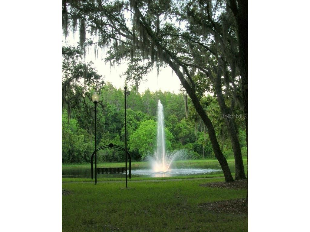 5100 Burchette Road #3802 Tampa FL 33647 TB8524087 image3