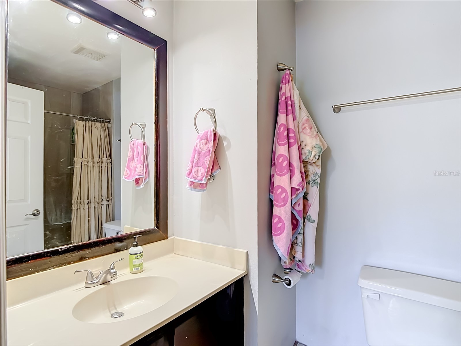 5100 Burchette Road #3802 Tampa FL 33647 TB8524087 image36