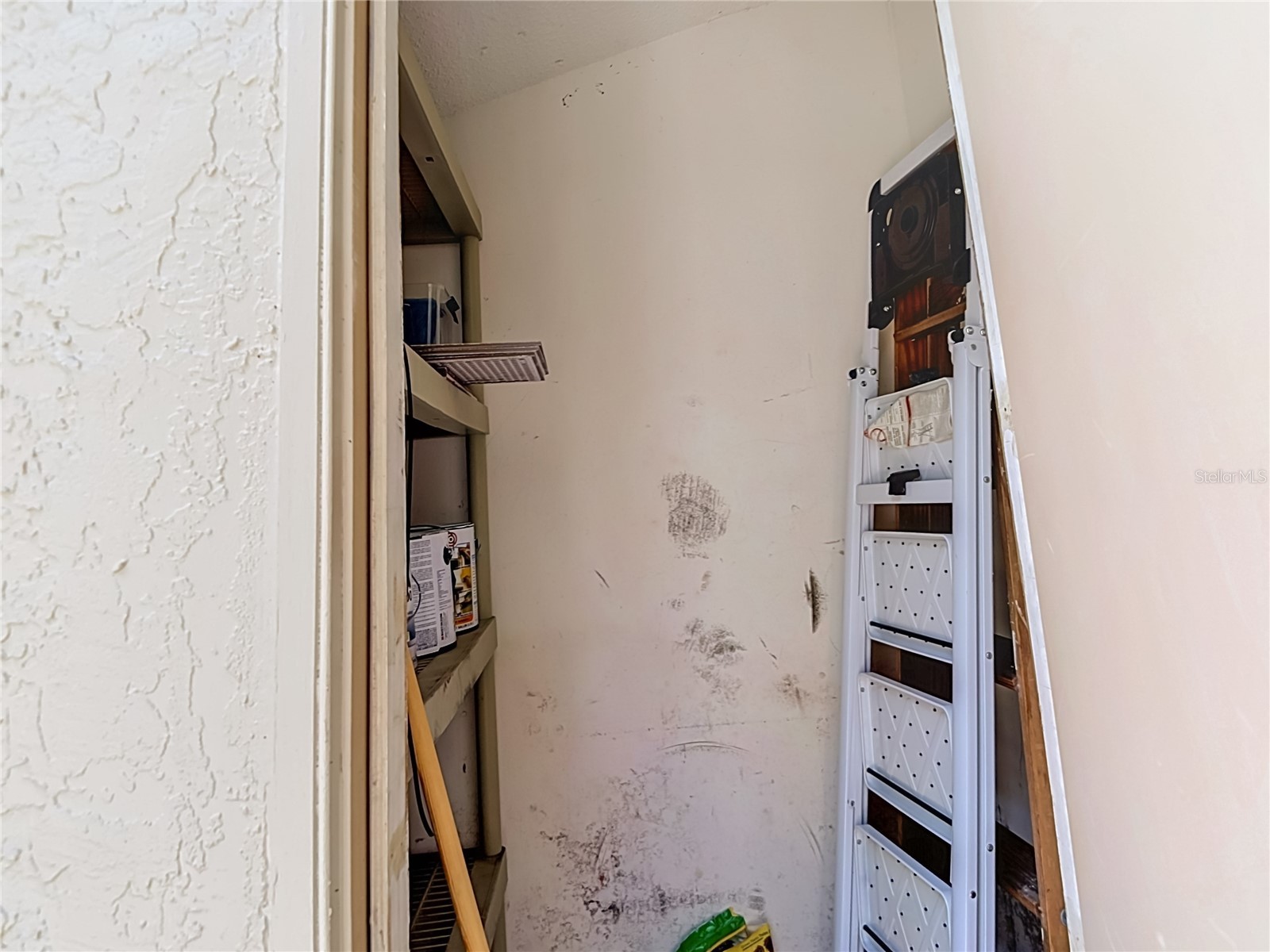 5100 Burchette Road #3802 Tampa FL 33647 TB8524087 image44