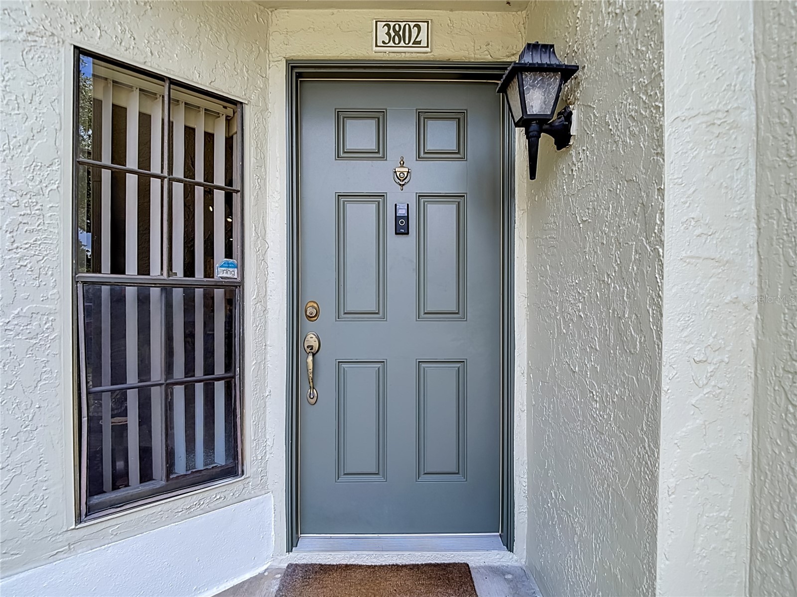 5100 Burchette Road #3802 Tampa FL 33647 TB8524087 image5