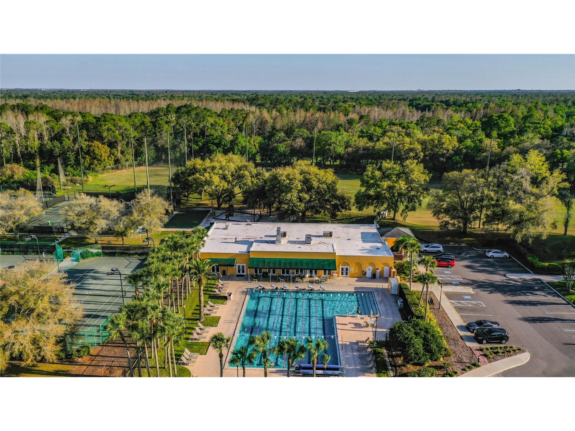 5100 Burchette Road #3802 Tampa FL 33647 TB8524087 image52