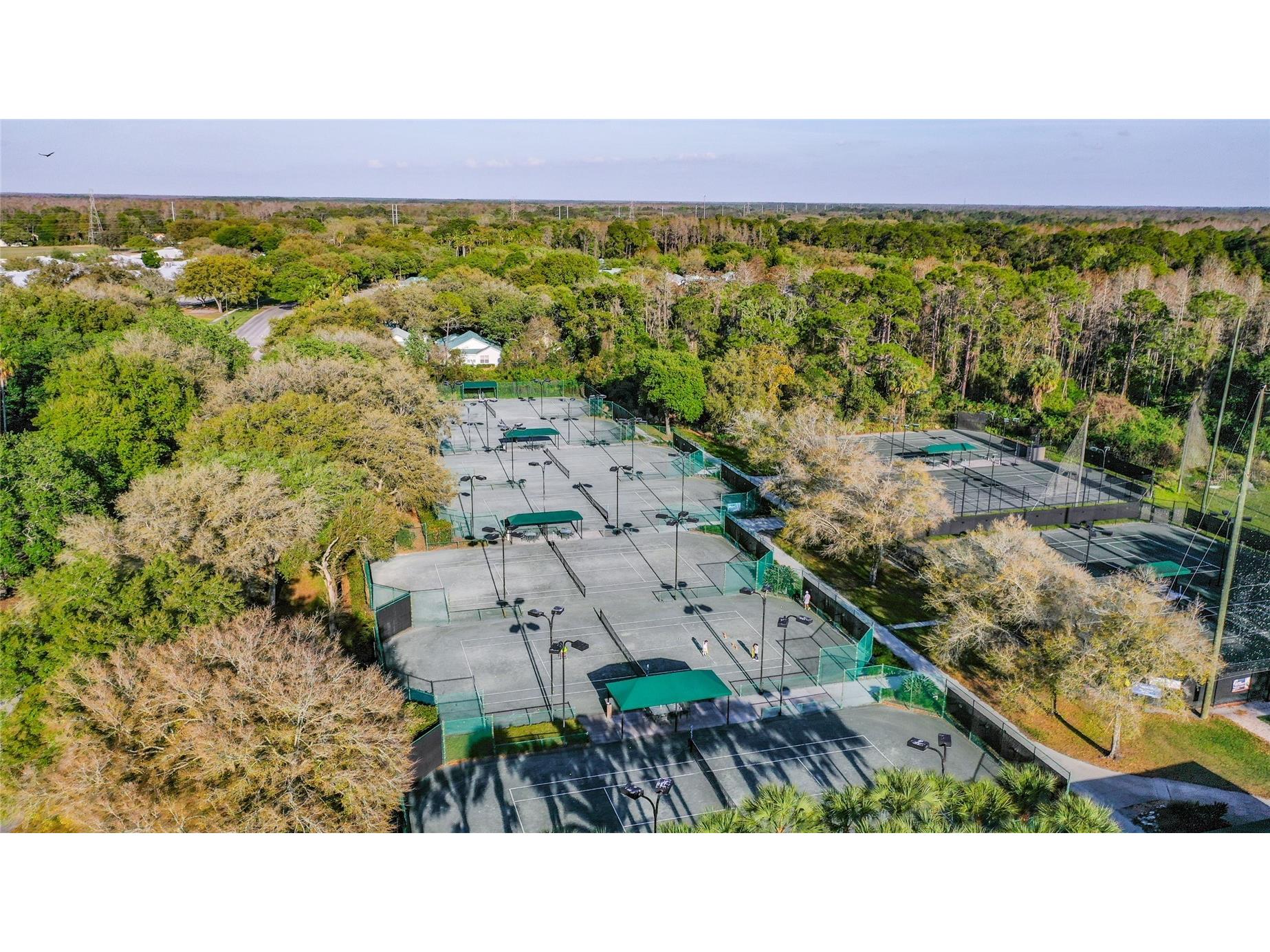 5100 Burchette Road #3802 Tampa FL 33647 TB8524087 image53