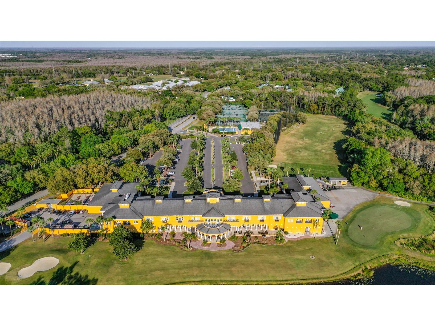 5100 Burchette Road #3802 Tampa FL 33647 TB8524087 image58