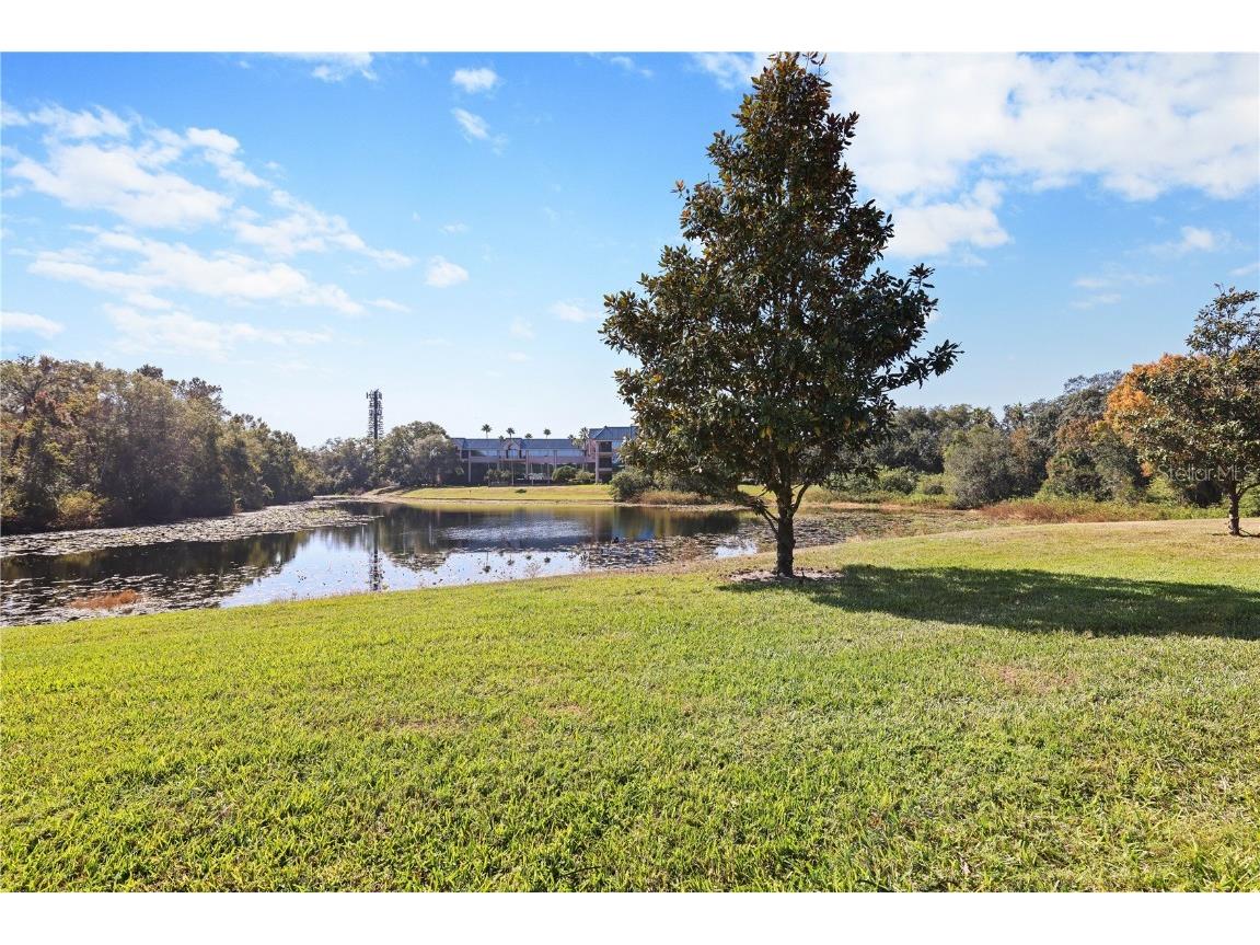 5100 Burchette Road #4002 Tampa FL 33647 TB8450849 image13