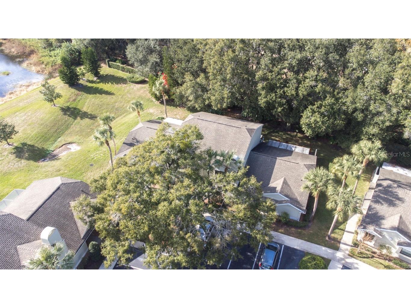 5100 Burchette Road #4102 Tampa FL 33647 TB8456585 image40