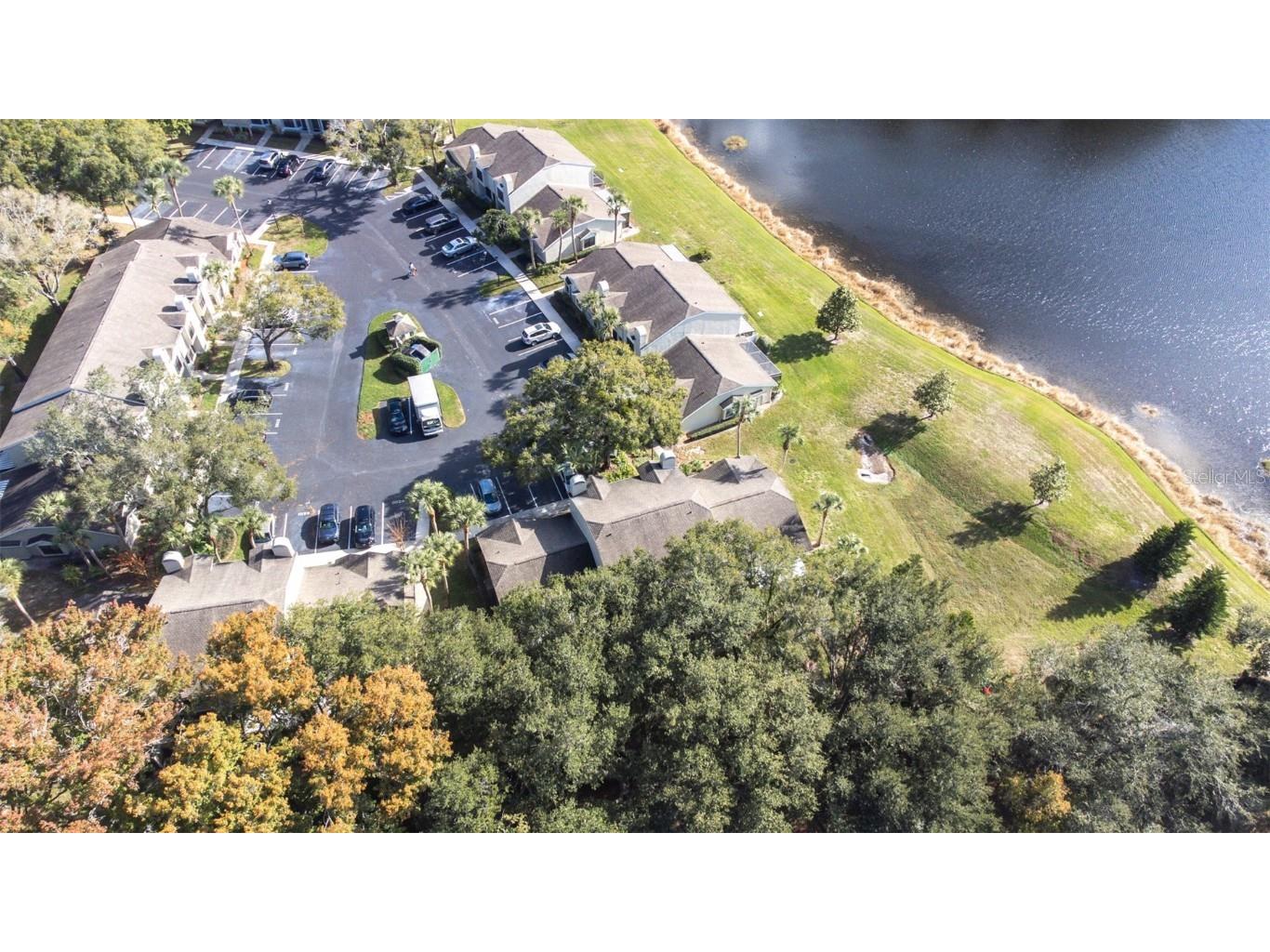 5100 Burchette Road #4102 Tampa FL 33647 TB8456585 image45