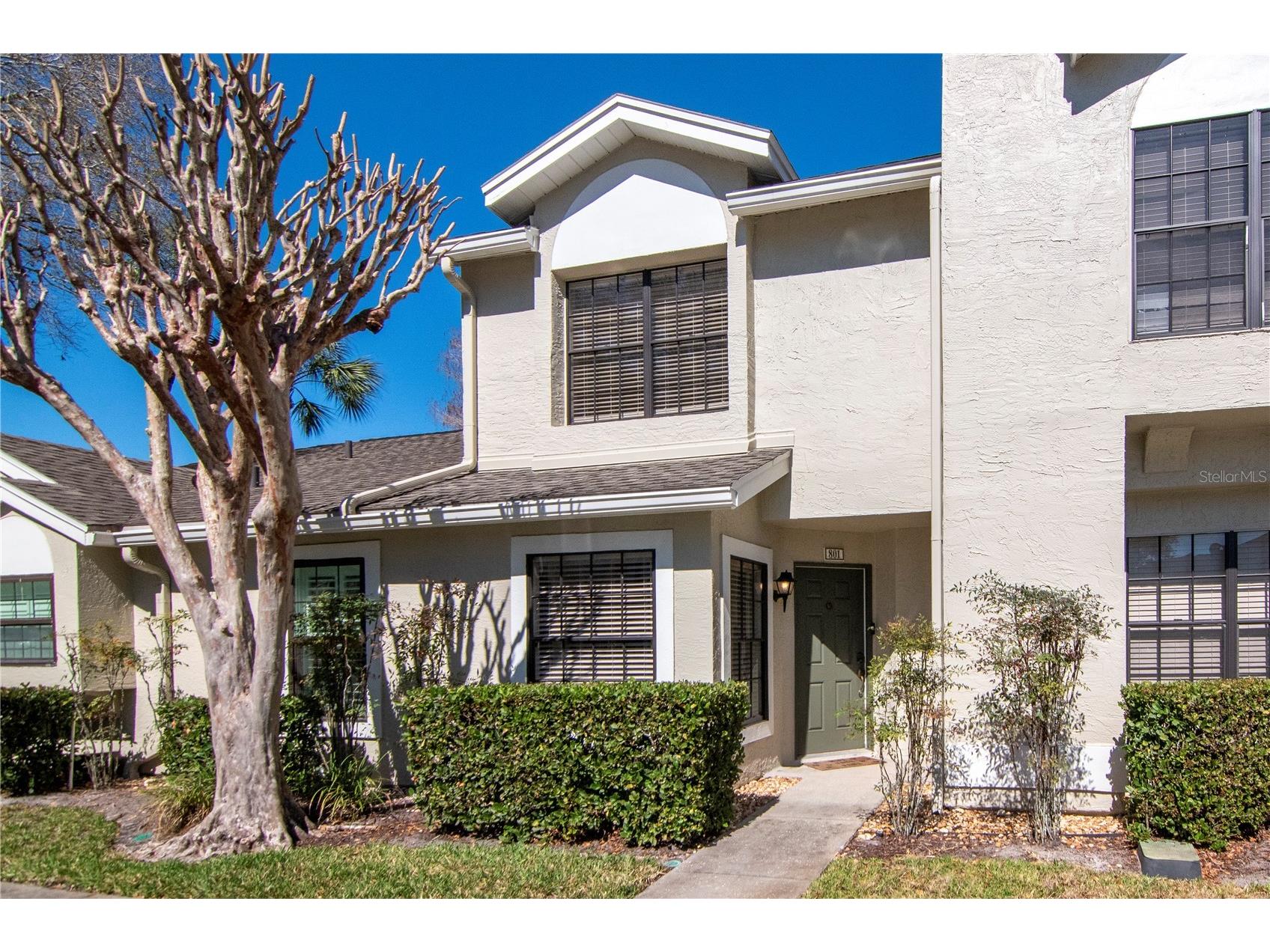 5100 Burchette Road #801 Tampa FL 33647 TB8479453 image1