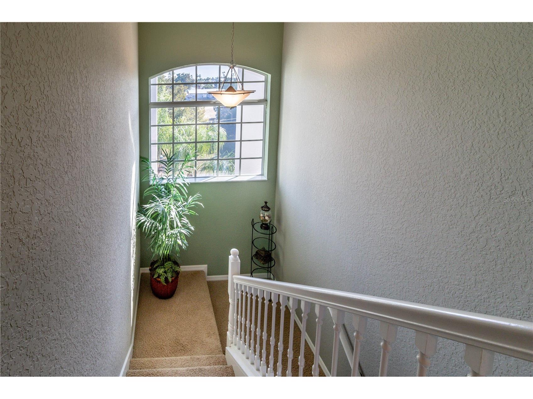 5100 Cedarbrook Lane Hernando Beach FL 34607 W7883230 image44