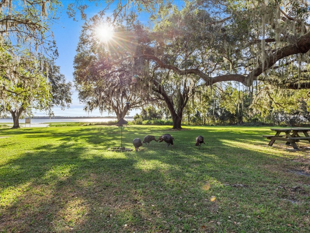 5100 Helen Court Saint Cloud FL 34772 S5115983 image50