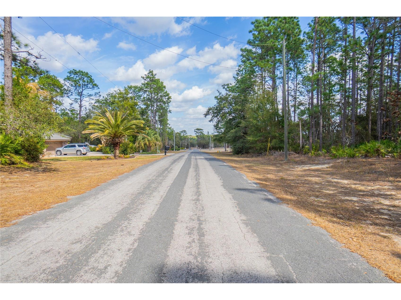 5100 N Red Ribbon Point Beverly Hills FL 34465 OM719524 image1