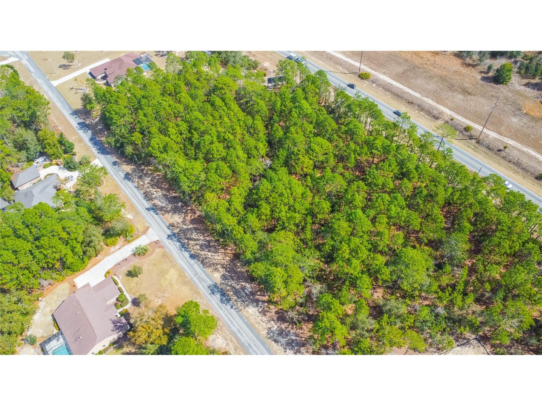 5100 N Red Ribbon Point Beverly Hills FL 34465 OM719524 image5