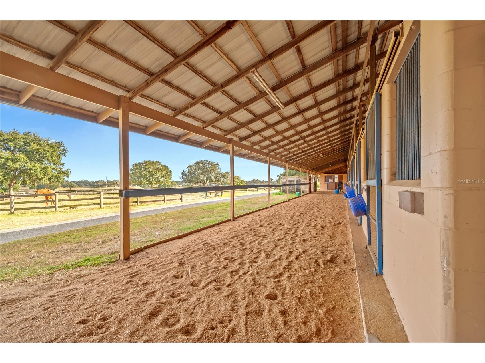 5100 W Hwy 329 Reddick FL 32686 OM722403 image21