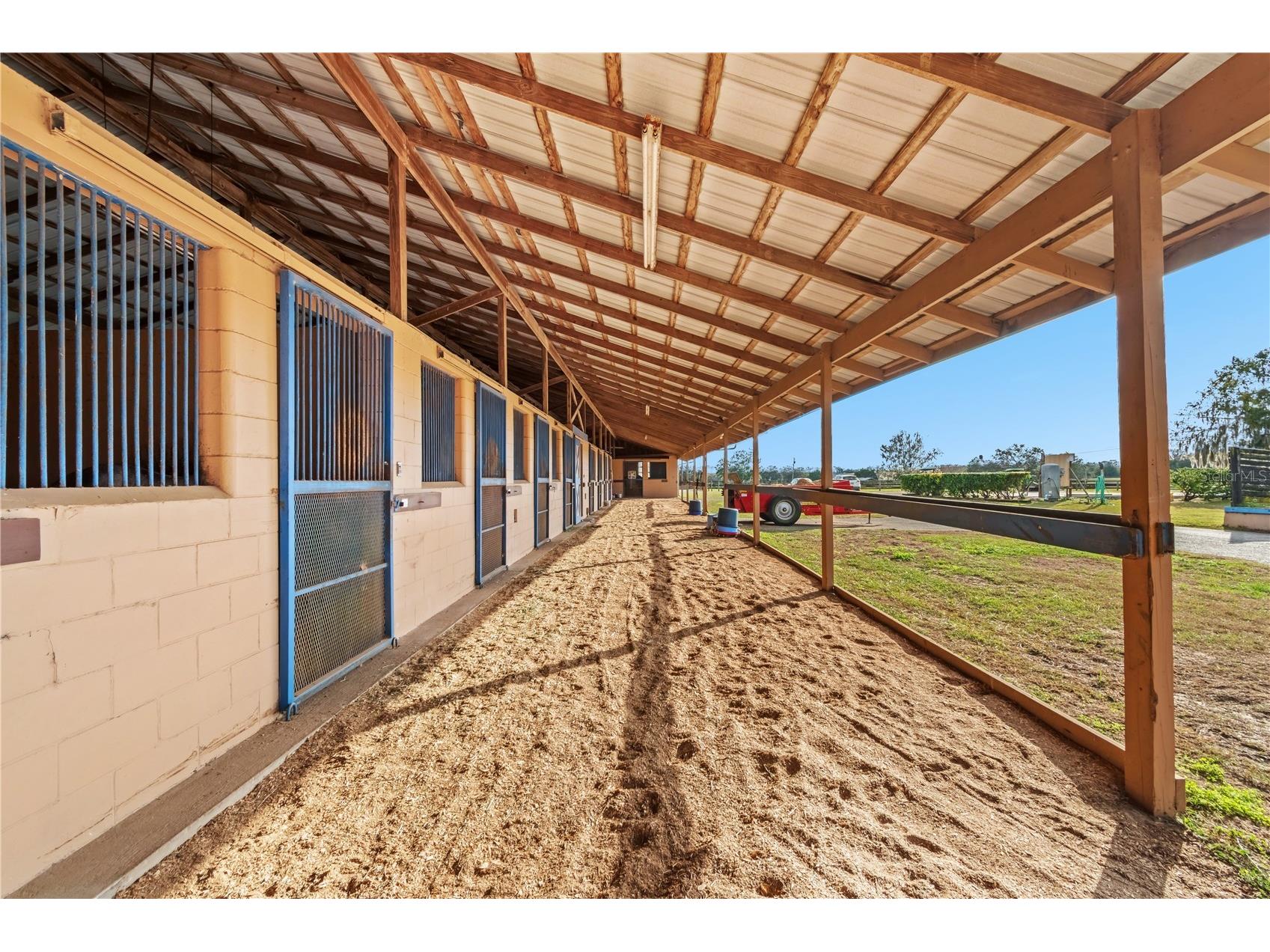 5100 W Hwy 329 Reddick FL 32686 OM722403 image22