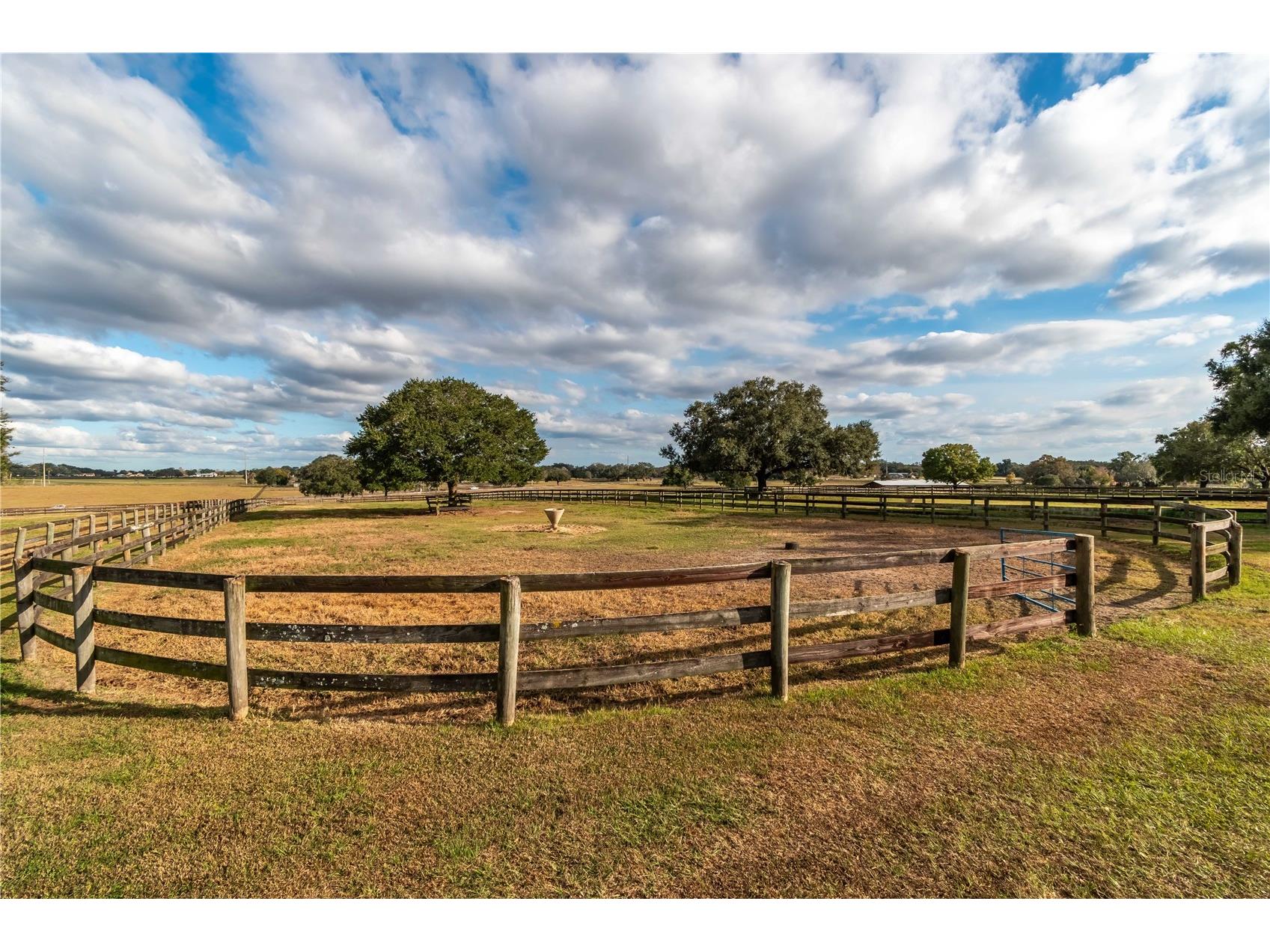 5100 W Hwy 329 Reddick FL 32686 OM722403 image27