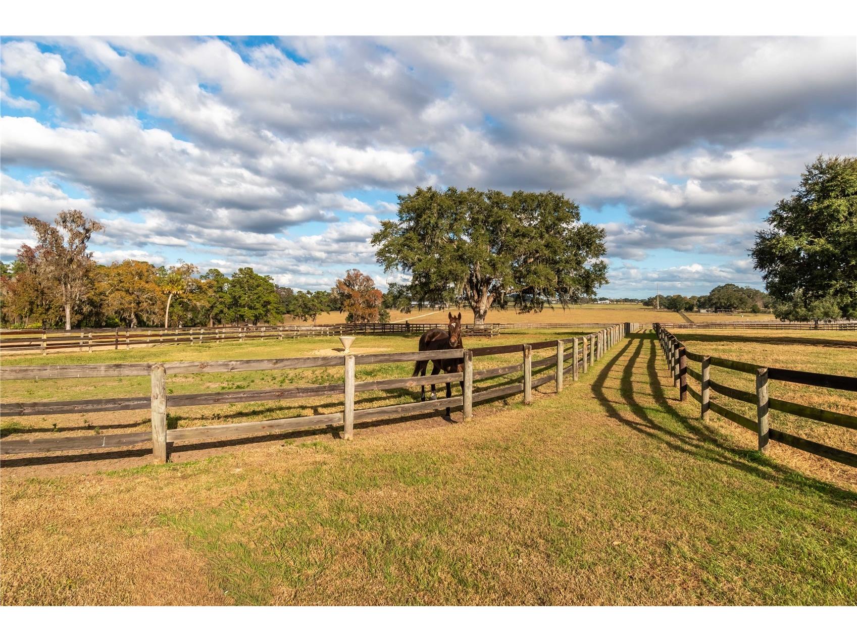 5100 W Hwy 329 Reddick FL 32686 OM722403 image28