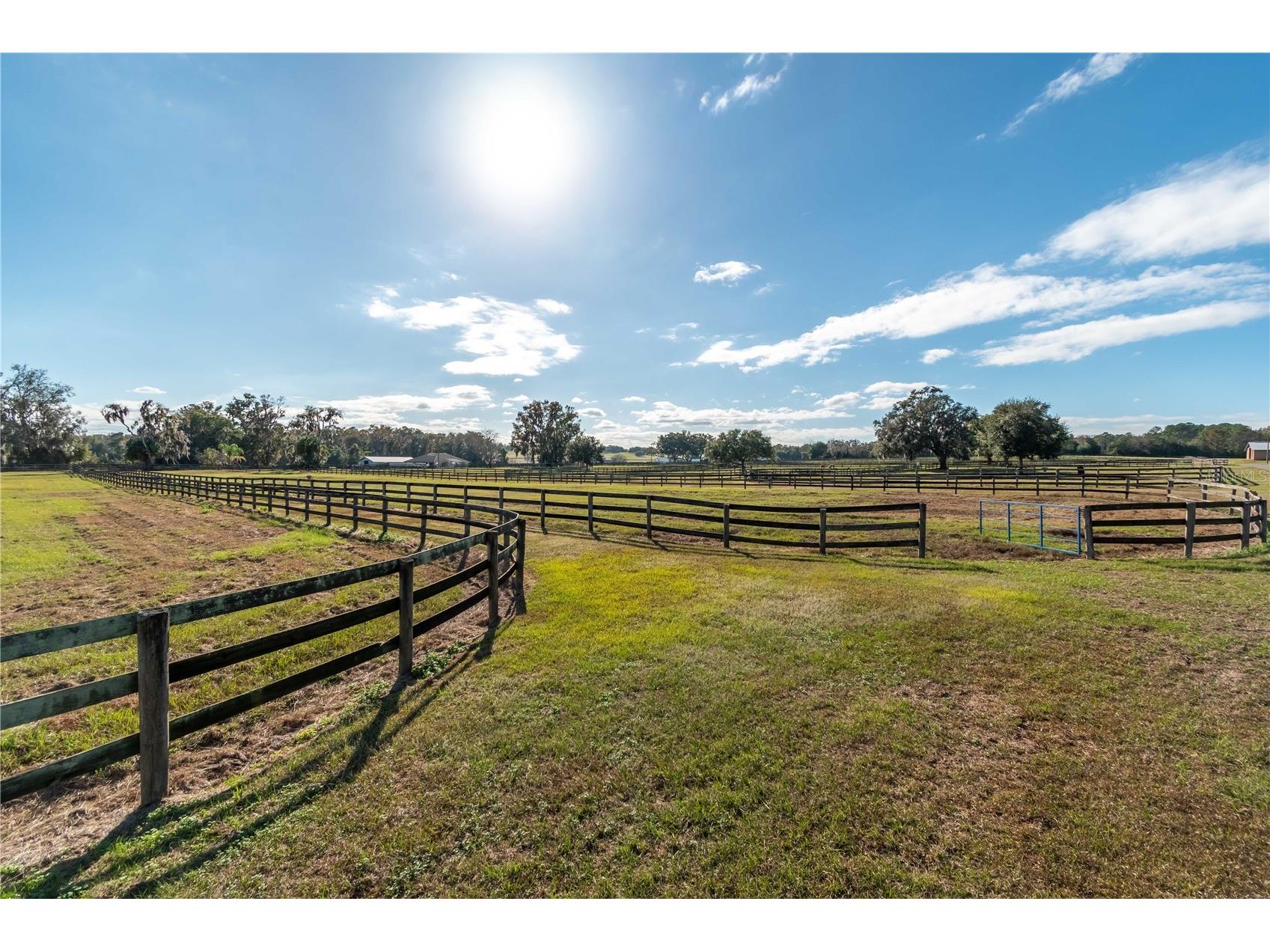 5100 W Hwy 329 Reddick FL 32686 OM722441 image12