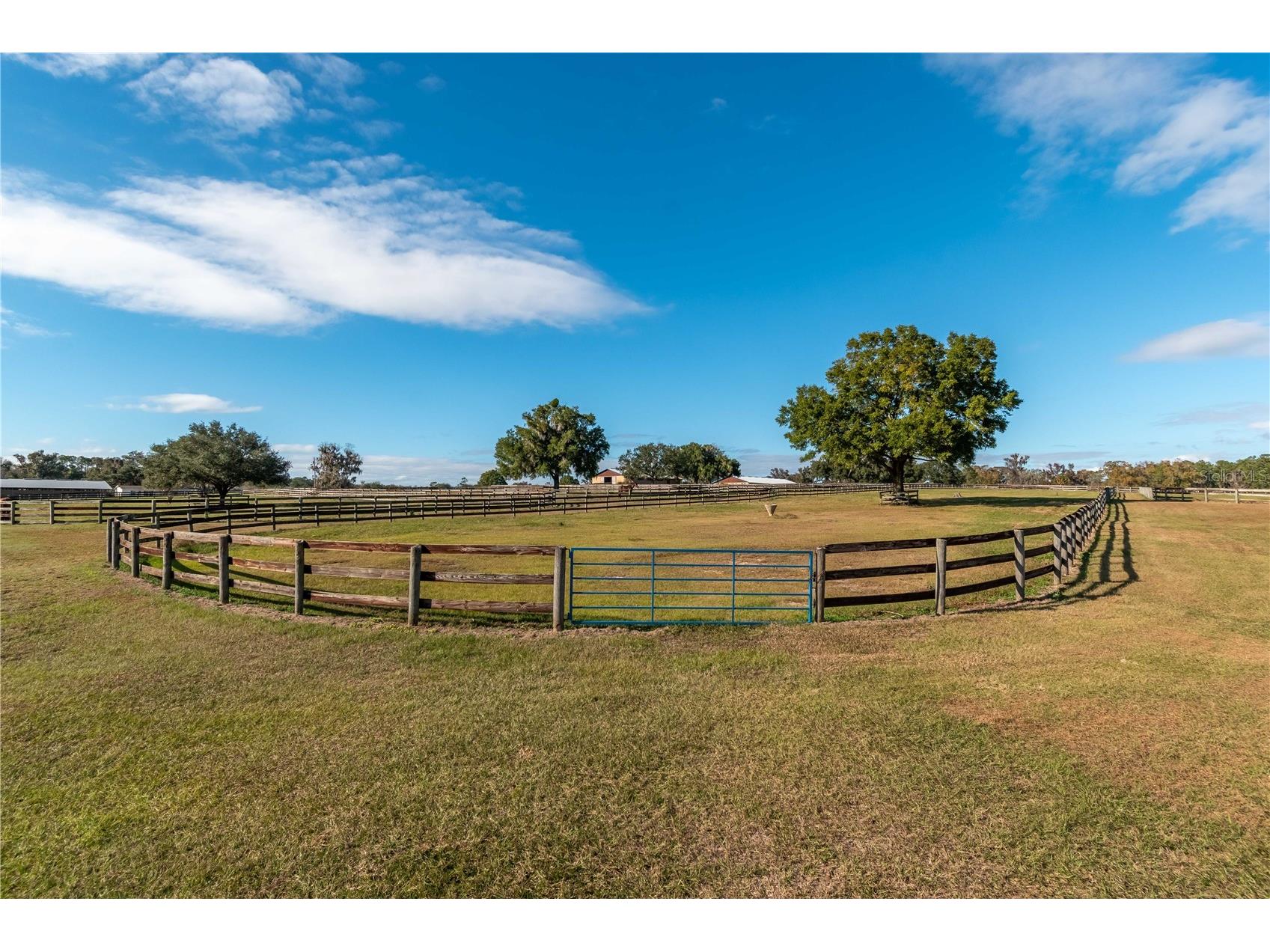 5100 W Hwy 329 Reddick FL 32686 OM722441 image13