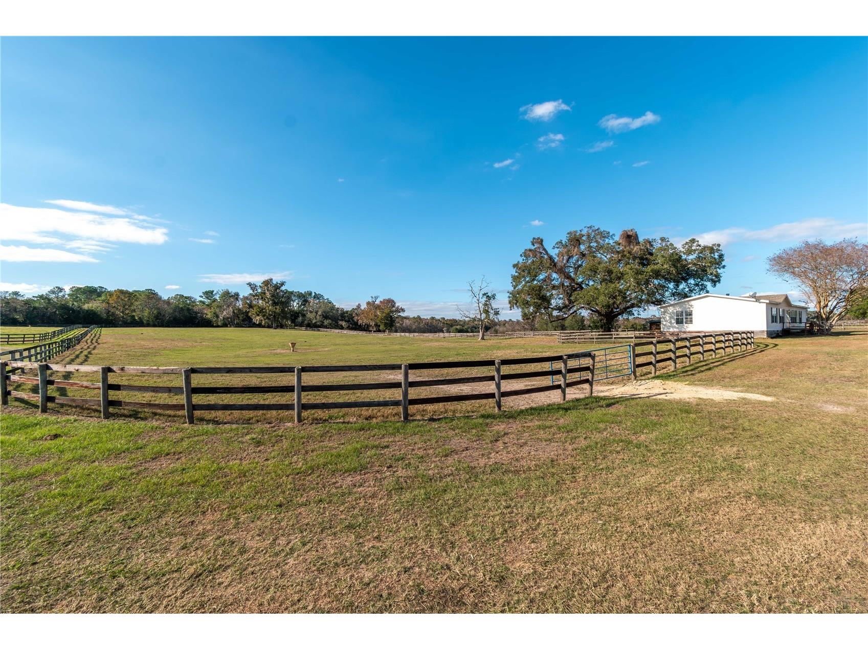 5100 W Hwy 329 Reddick FL 32686 OM722441 image14