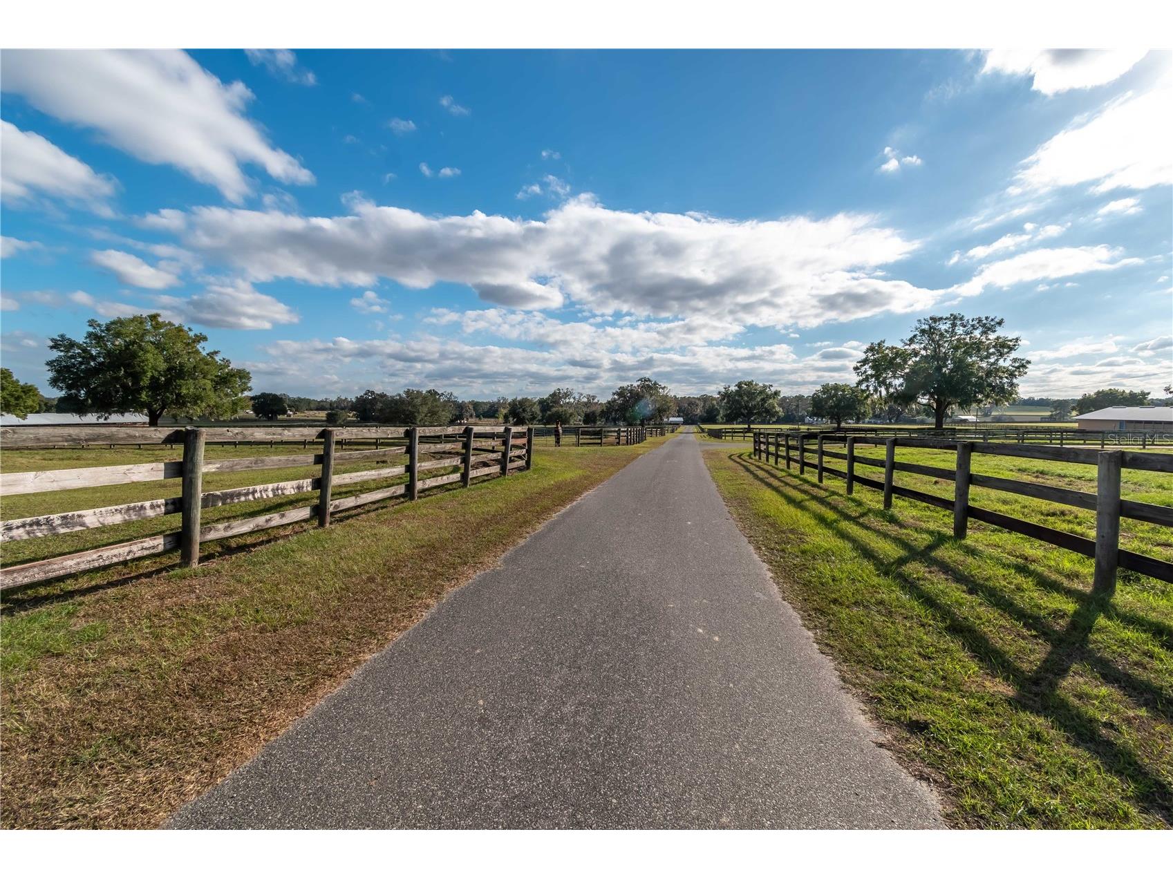 5100 W Hwy 329 Reddick FL 32686 OM722441 image17