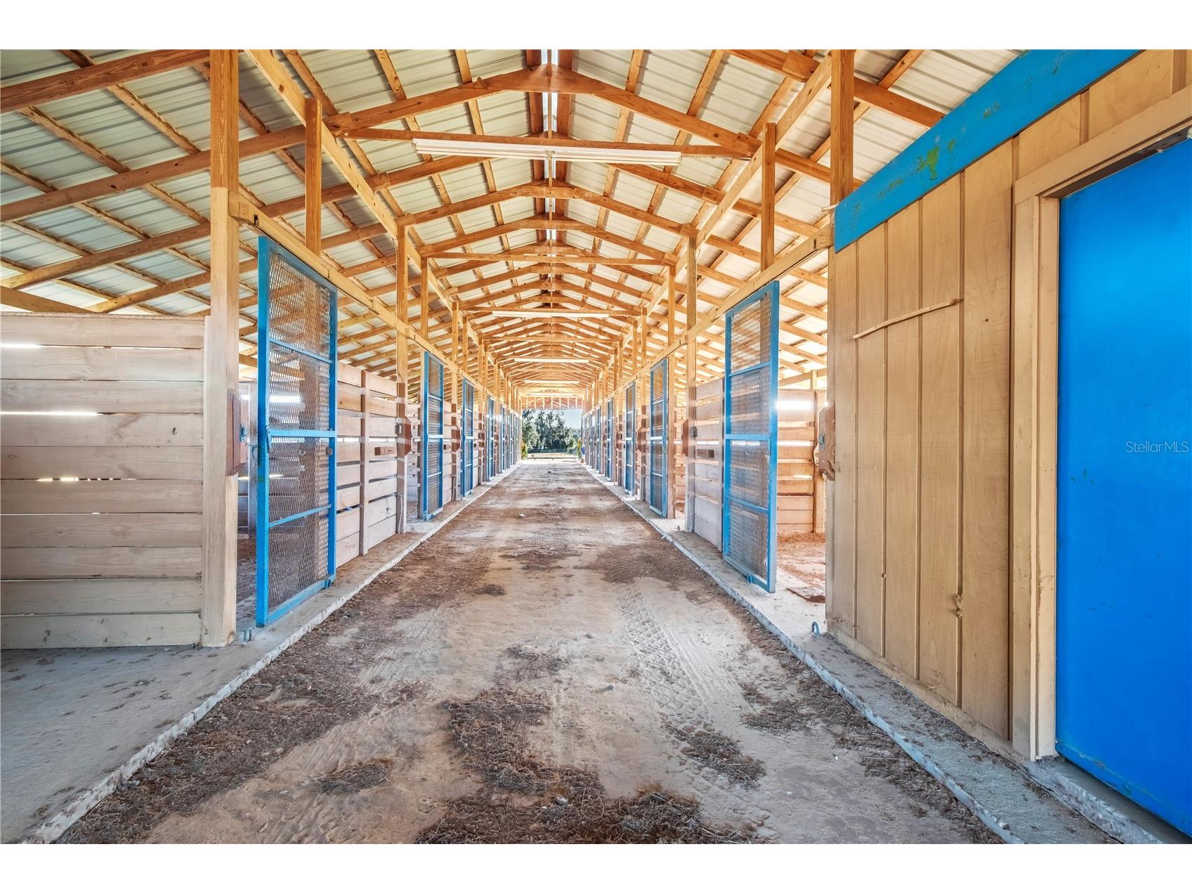 5100 W Hwy 329 Reddick FL 32686 OM722441 image21