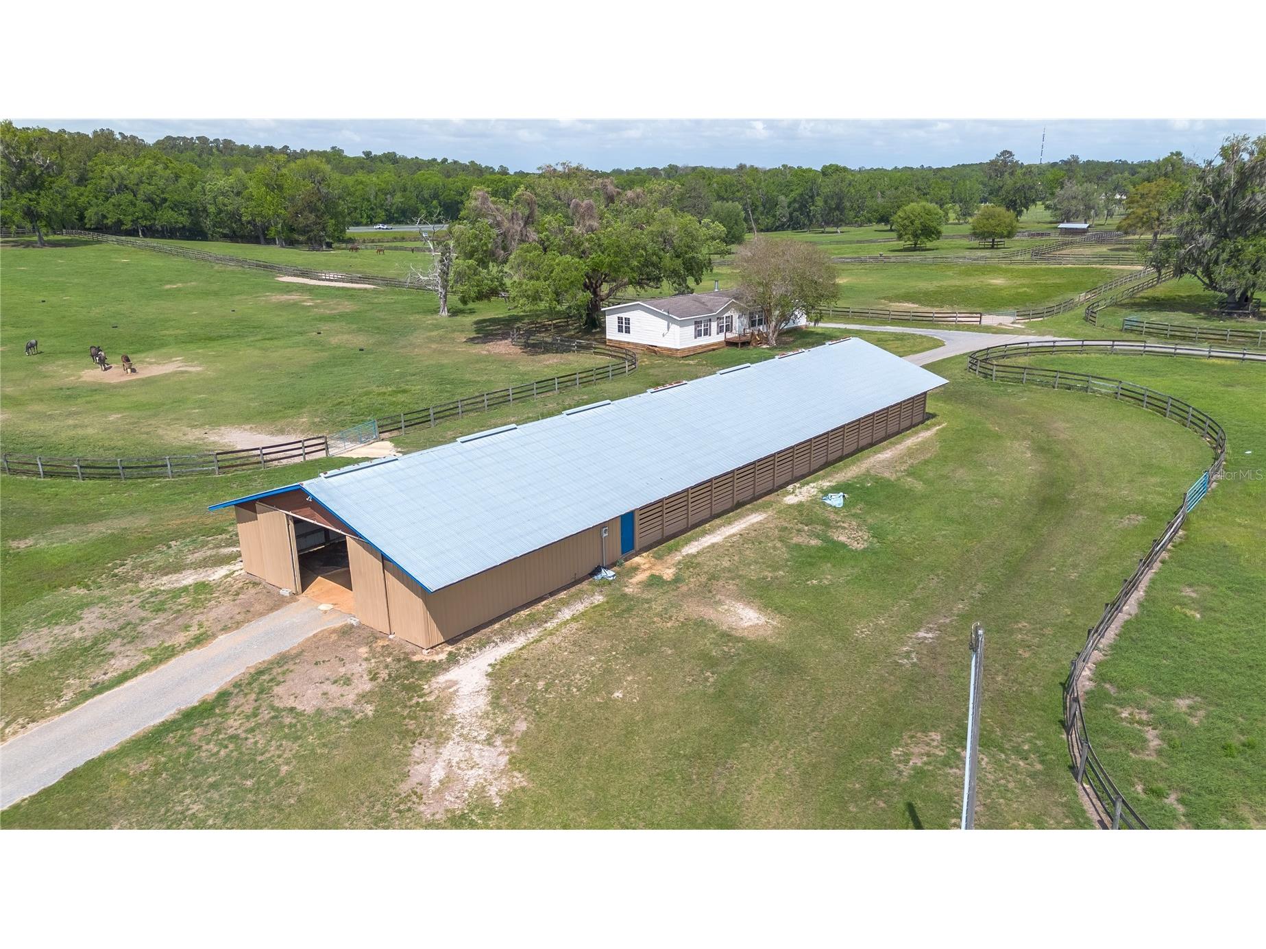 5100 W Hwy 329 Reddick FL 32686 OM722441 image3