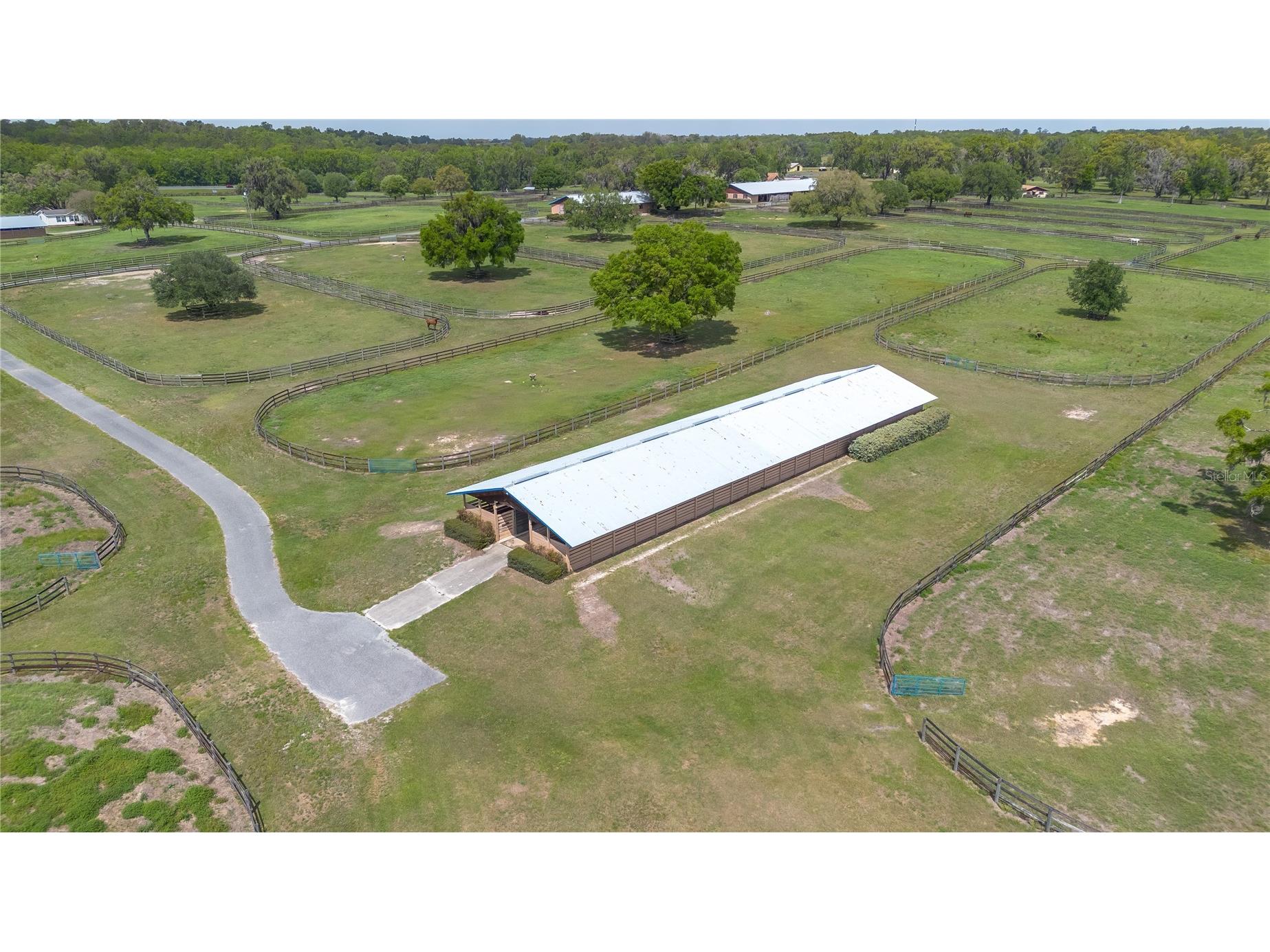 5100 W Hwy 329 Reddick FL 32686 OM722441 image4