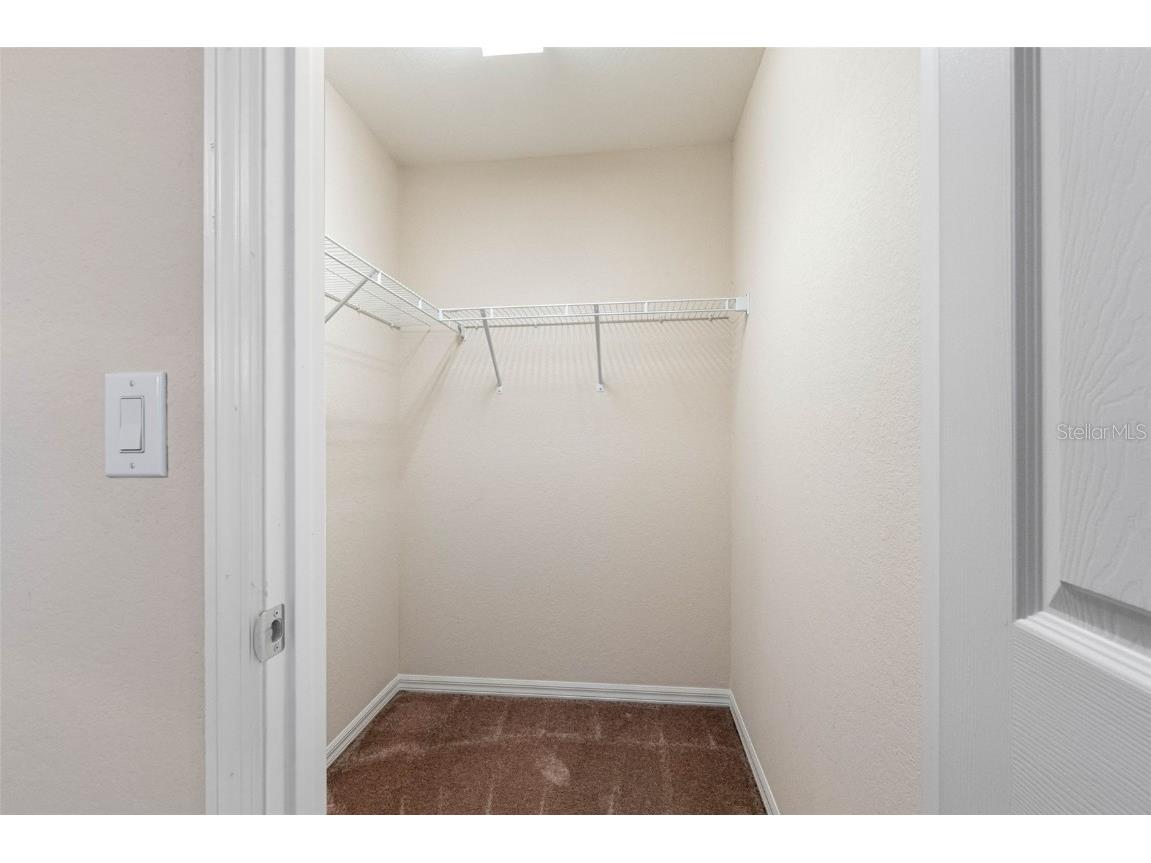 5101 Chipotle Lane Wesley Chapel FL 33544 TB8420065 image18